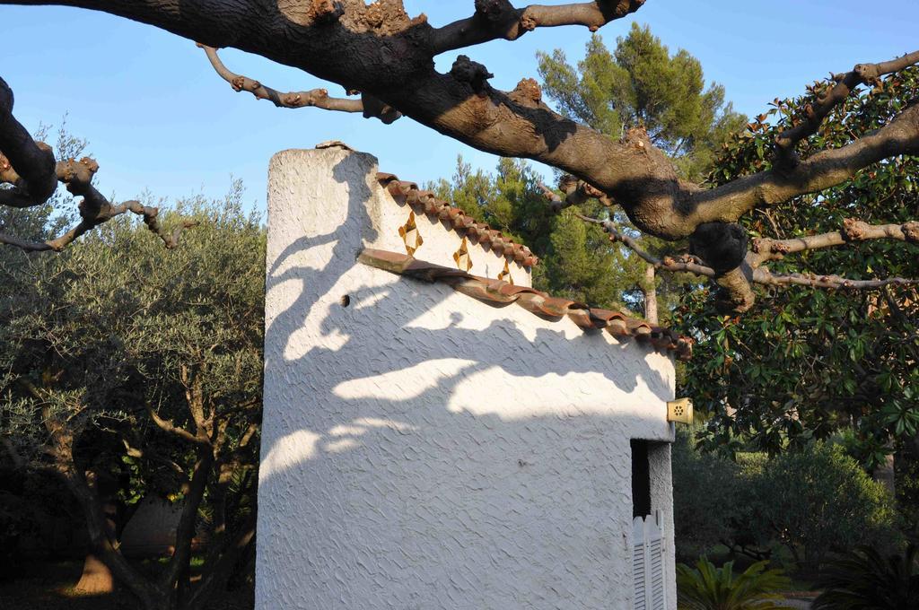 Du Cote De Chez Soi Hotel La Ciotat Eksteriør billede