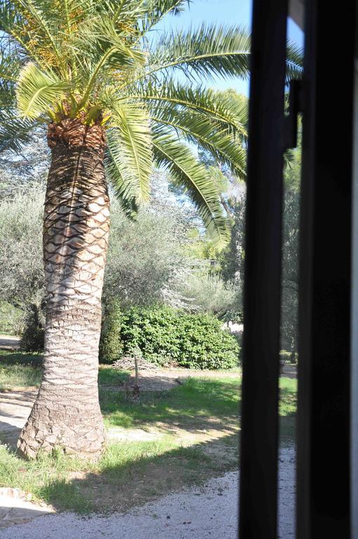 Du Cote De Chez Soi Hotel La Ciotat Værelse billede